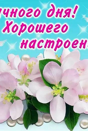 Удачного дня и хорошего настроения
