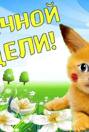 Удачной трудовой недели и хорошего настроения