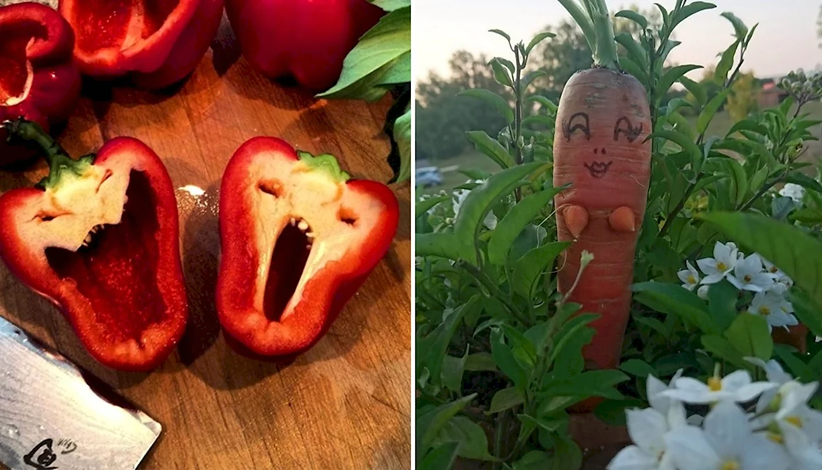 Удивительные овощи