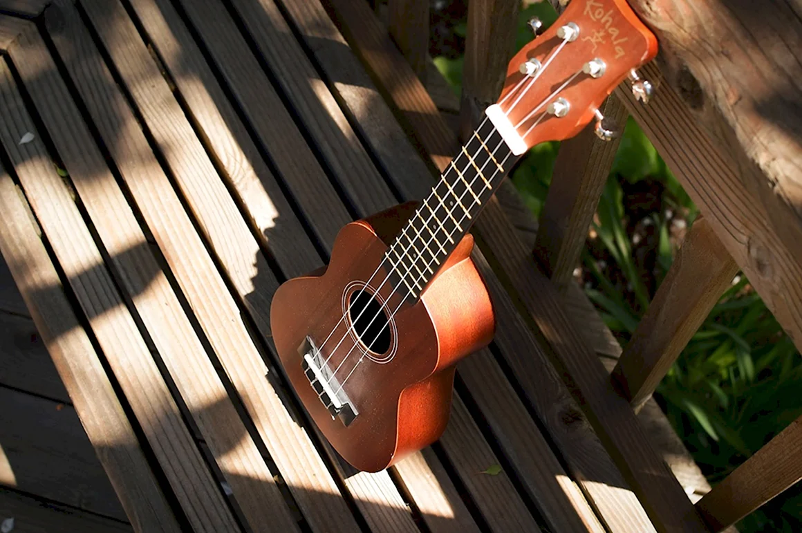 Укулеле guitarist