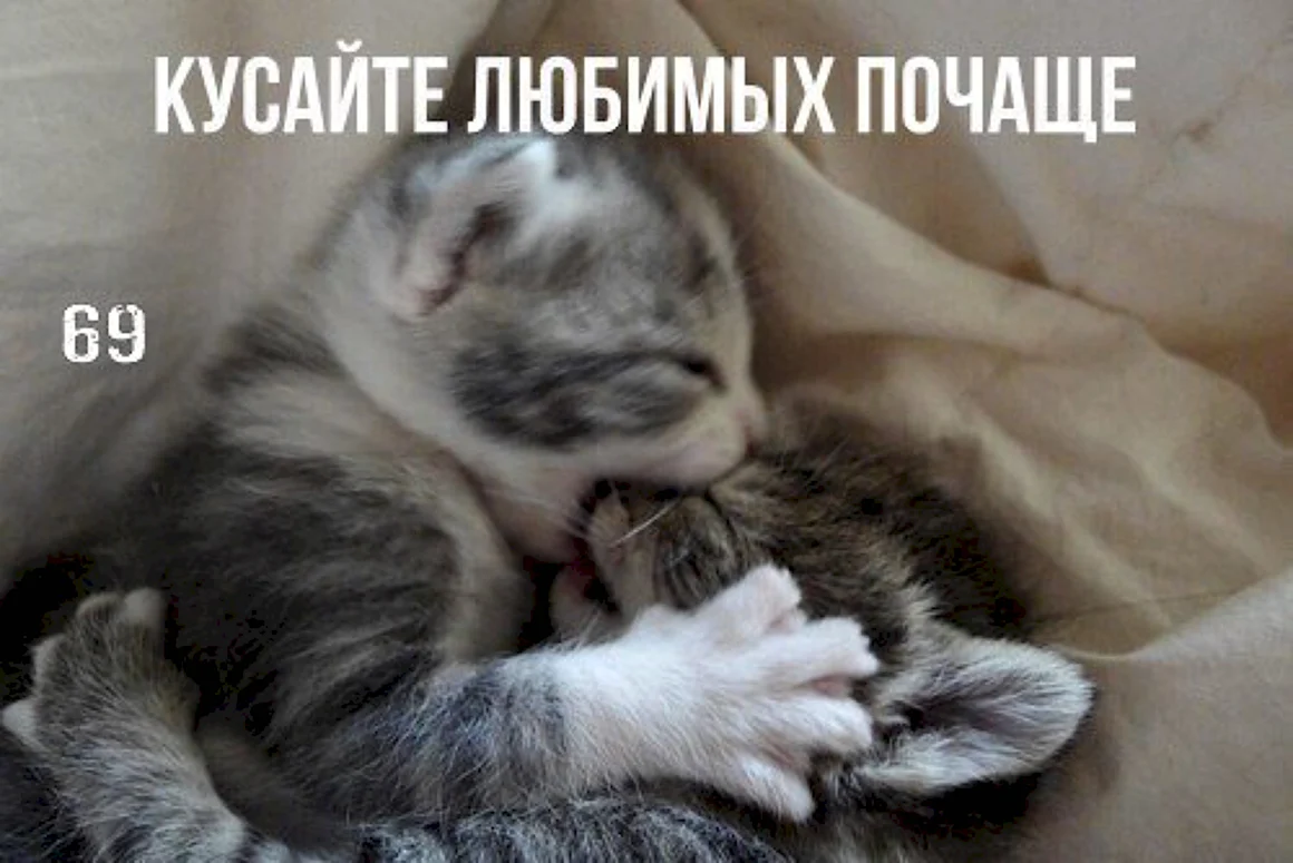 Укушу тебя любимый