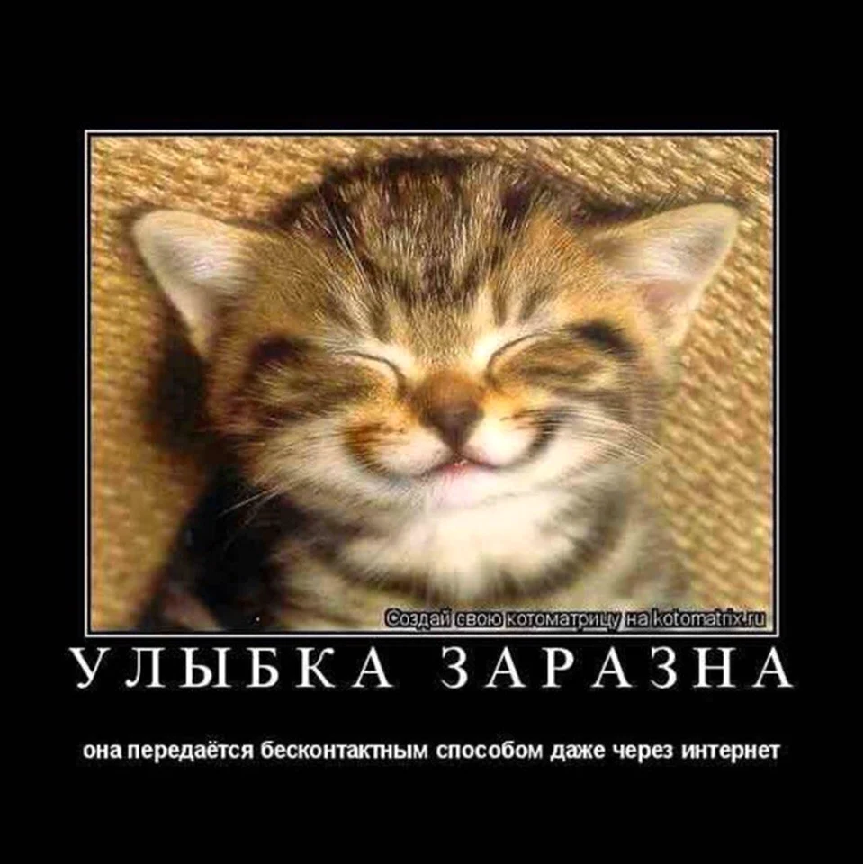 Улыбни улыбало