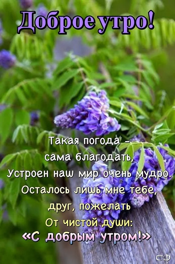 Умные поздравления с добрым утром
