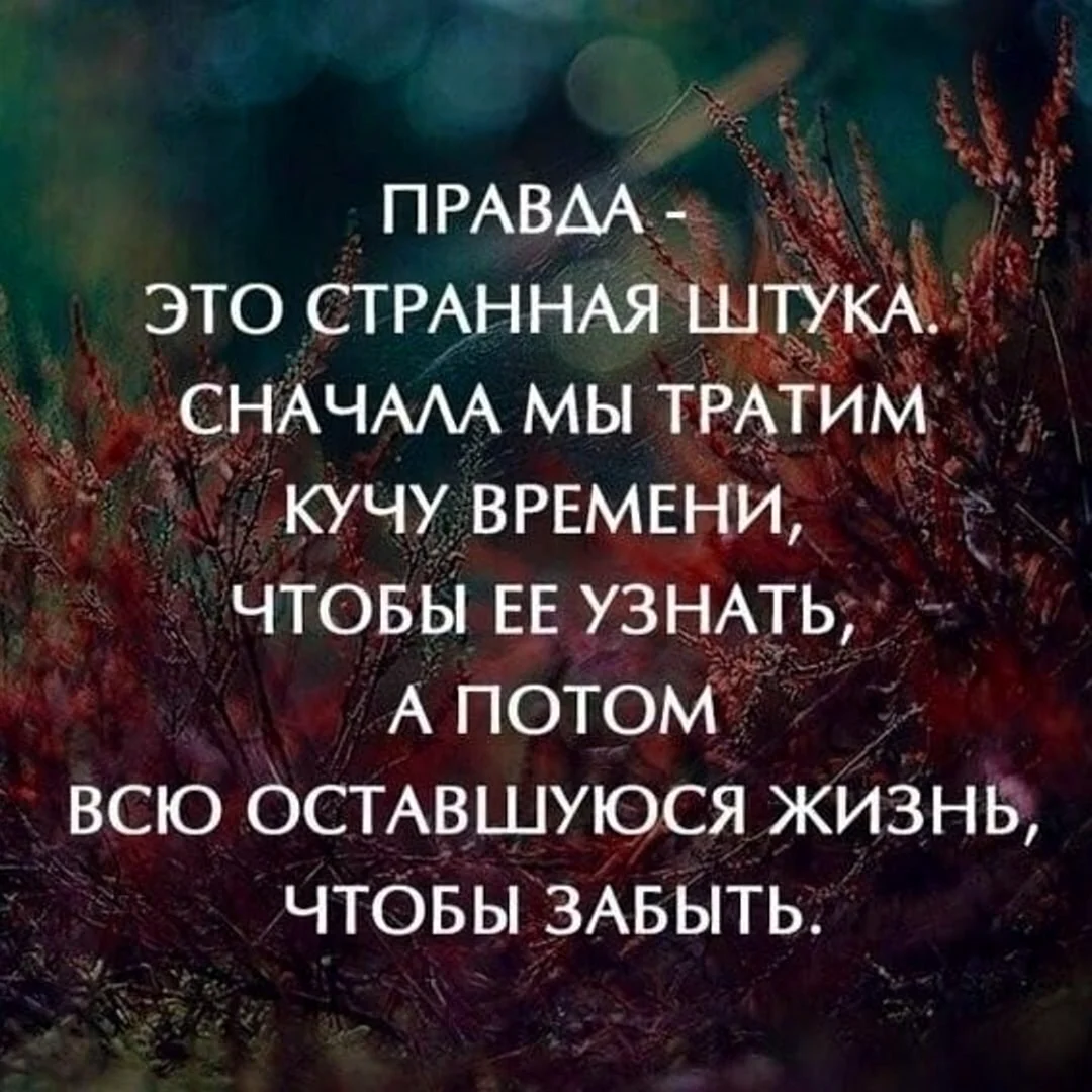 Умные цитаты