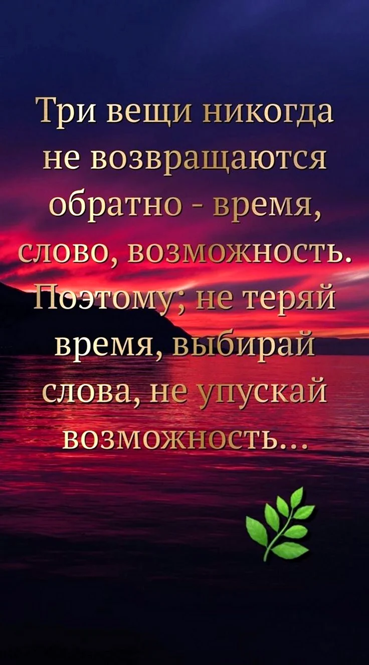 Умные высказывания