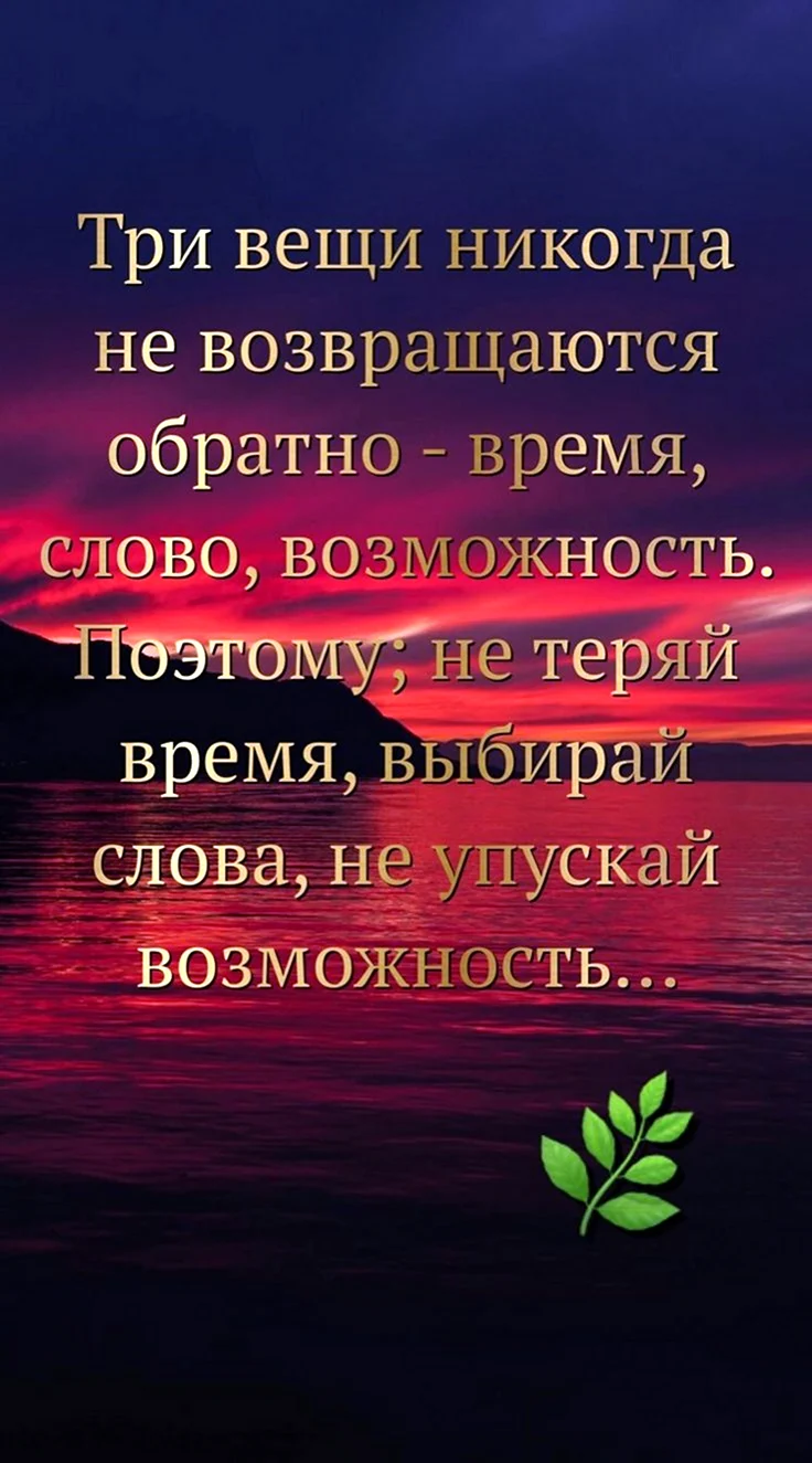 Умные высказывания