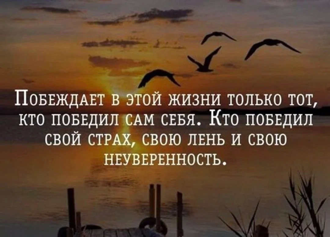 Умные высказывания