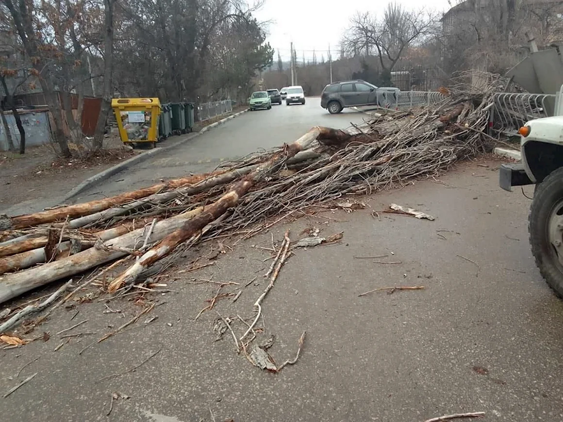 Ураган в Севастополе