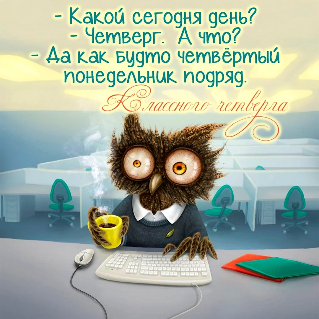 Уставшая Сова