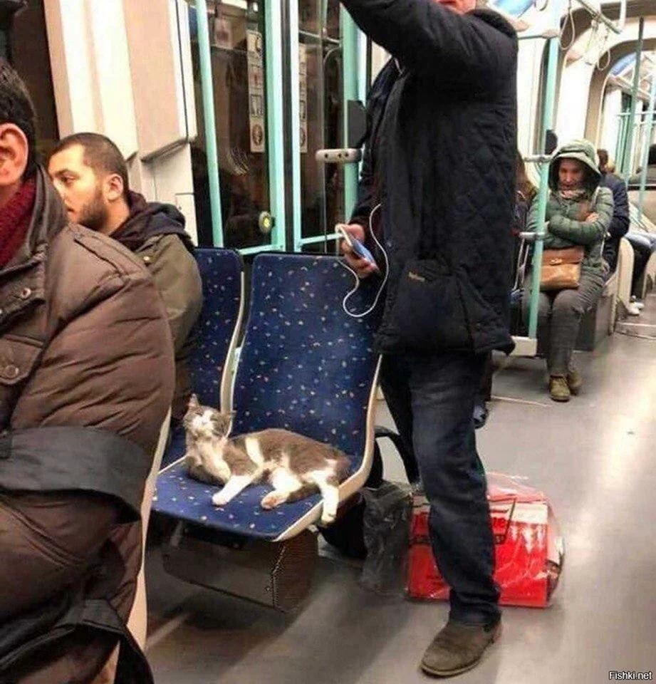 Уступи место прикол