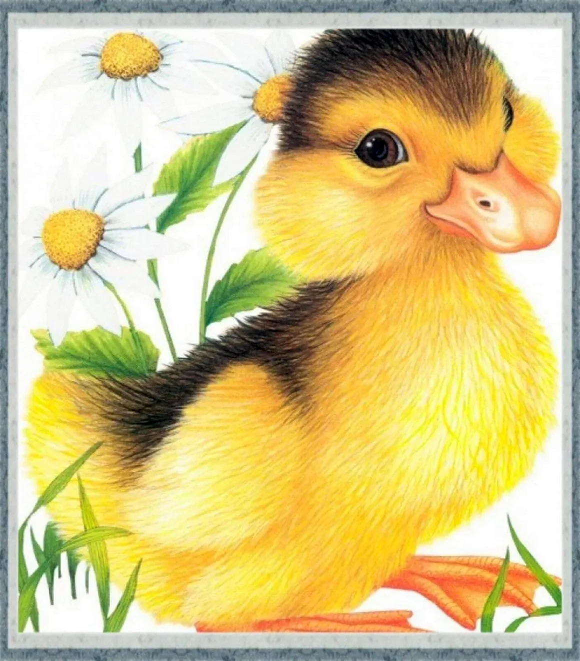 Утенок