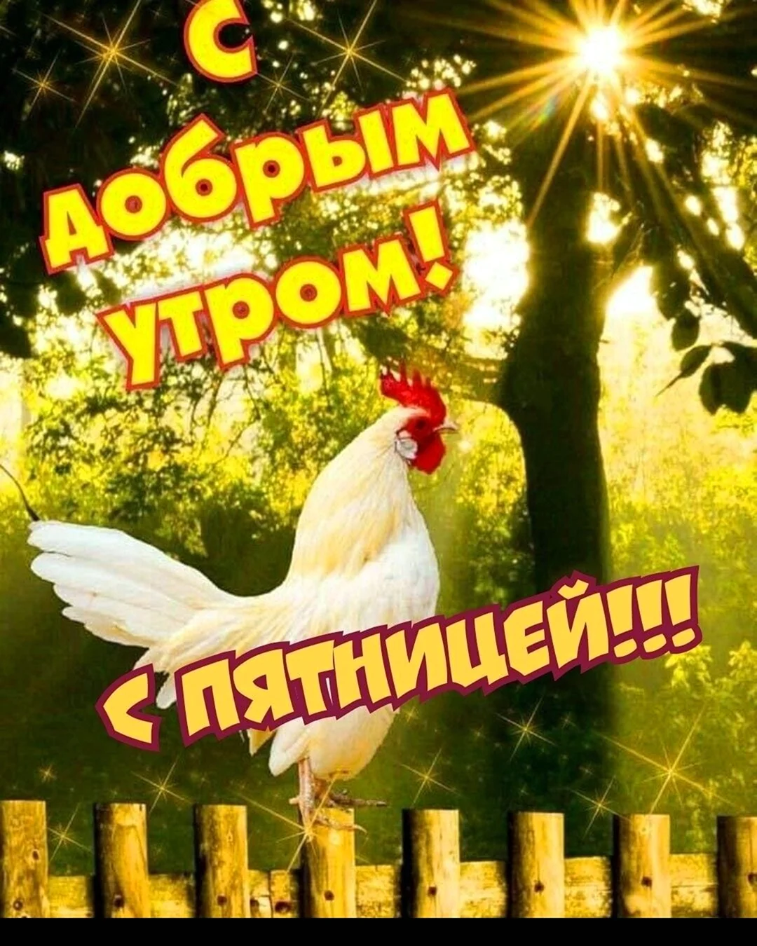 Утренние птицы