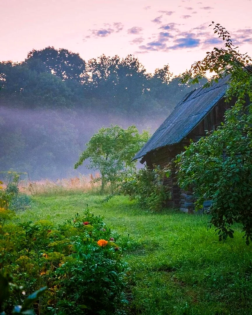 Утренний пейзаж деревня Герасимов