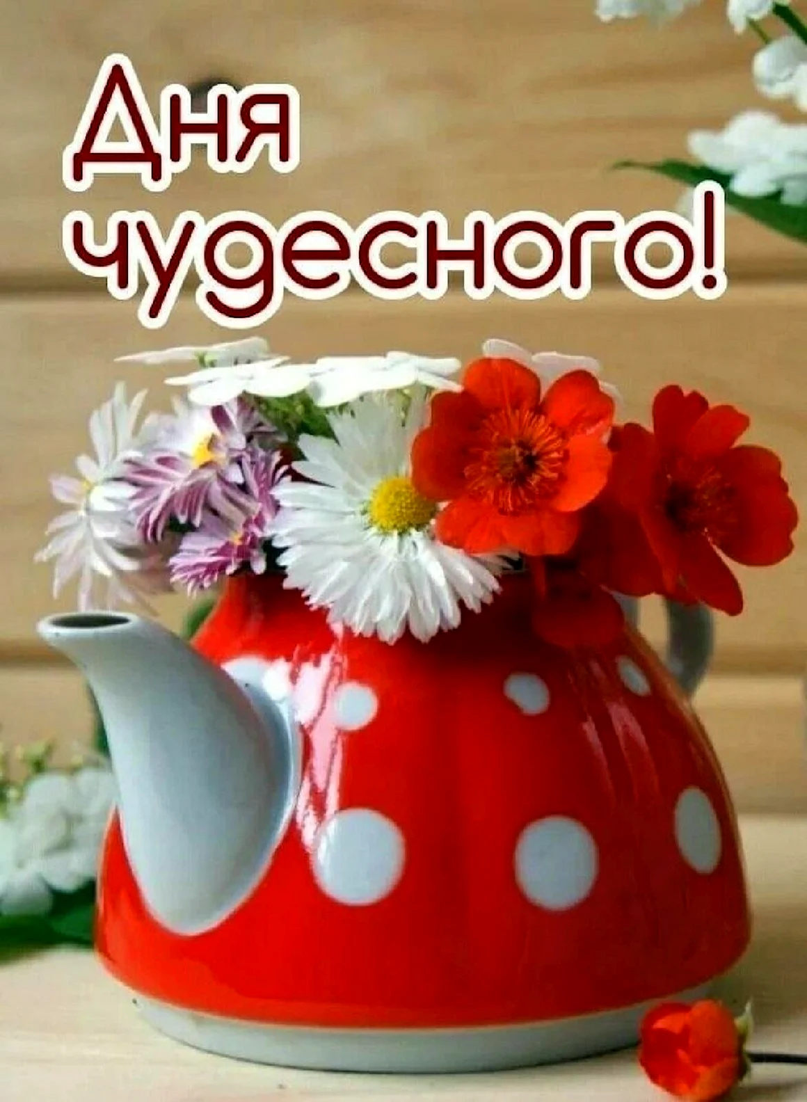 Утренний привет