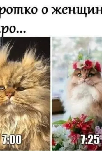 Утро прикол