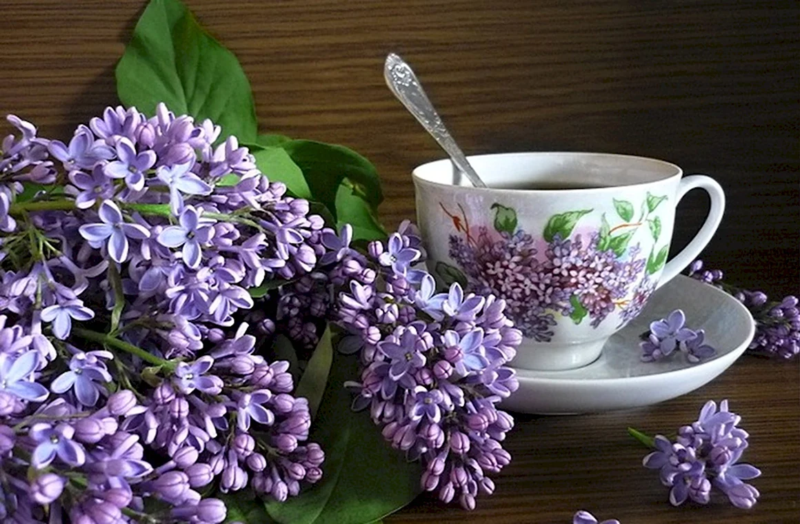 Утро сирень