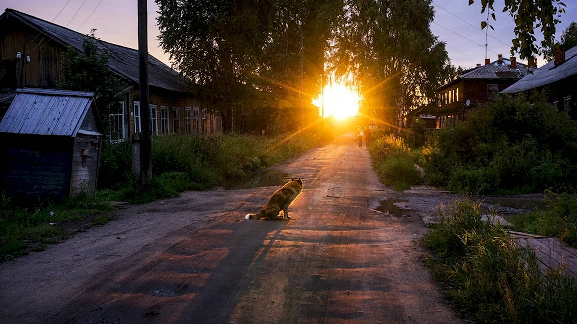 Утро в деревне
