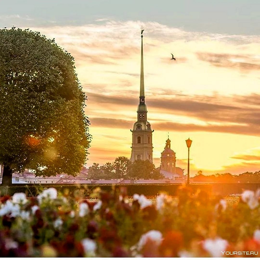 Утро в Питере
