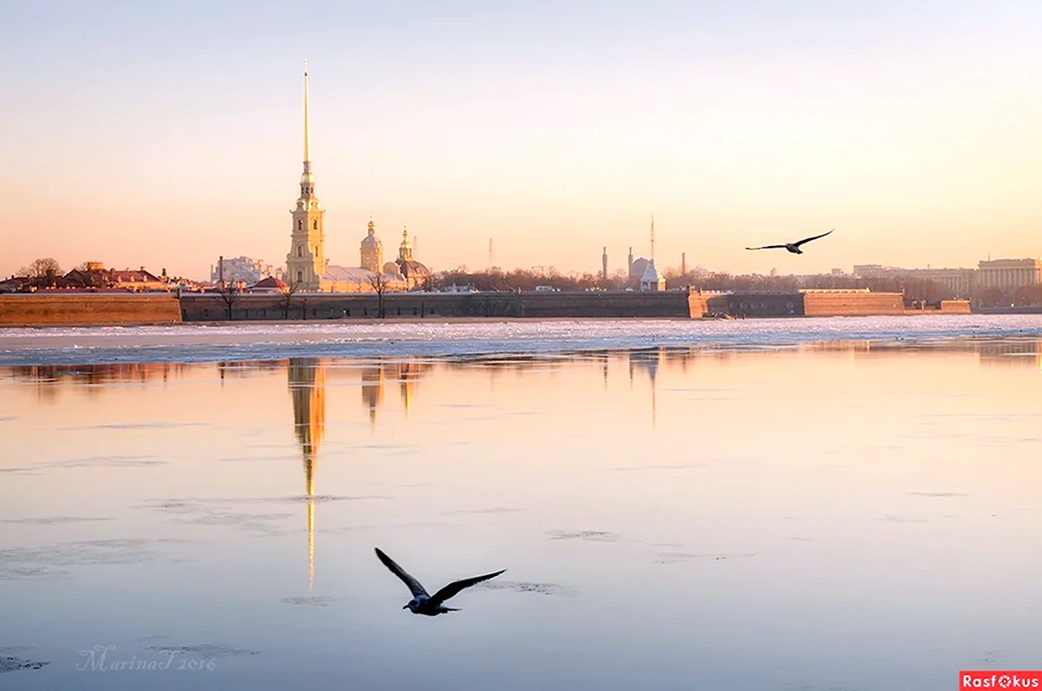 Утро в Питере весной