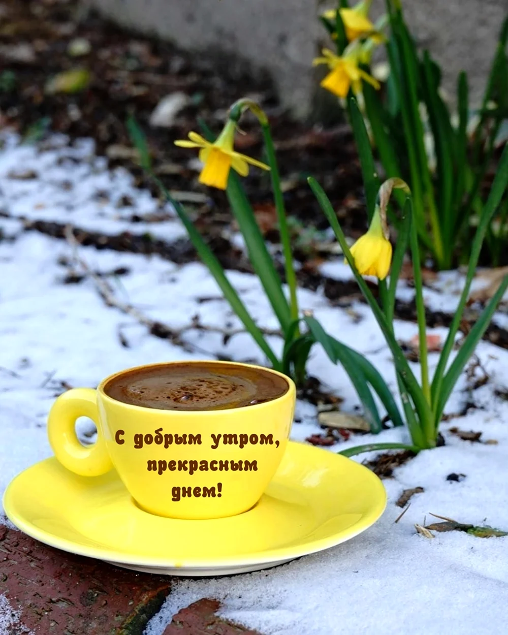 Утро Весна