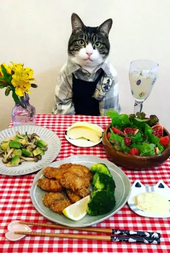Ужин с котом