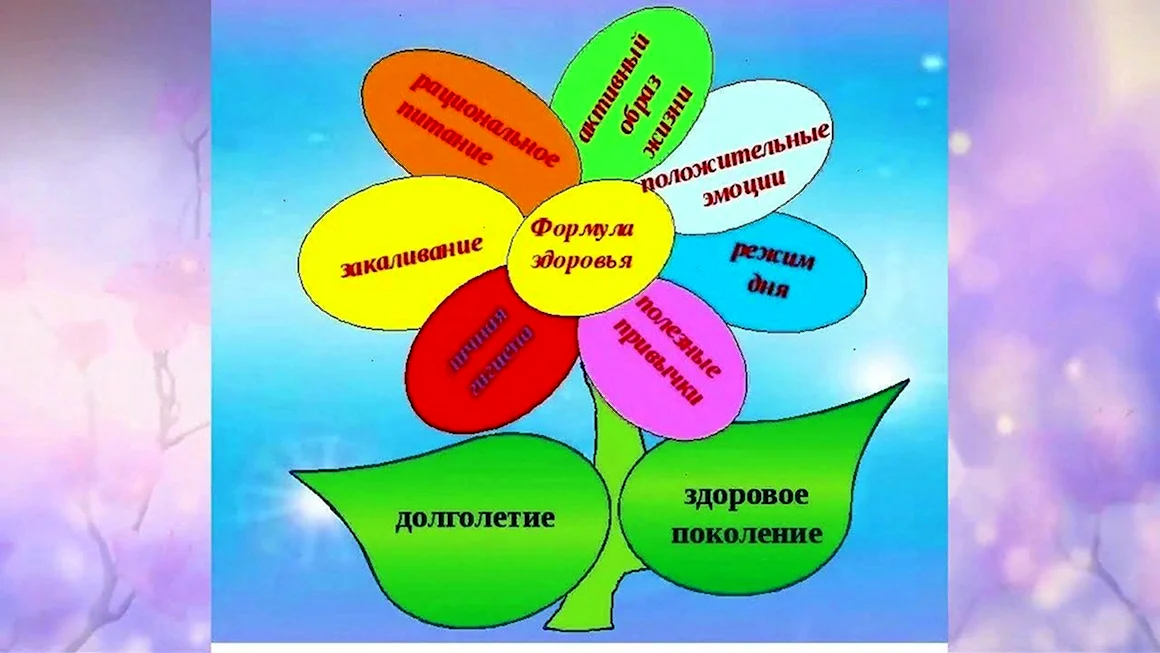 Ведение здорового образа жизни