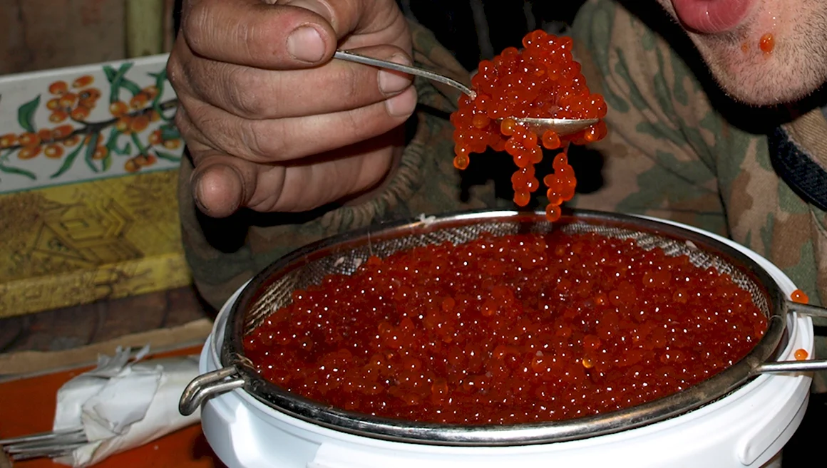 Ведро красной икры
