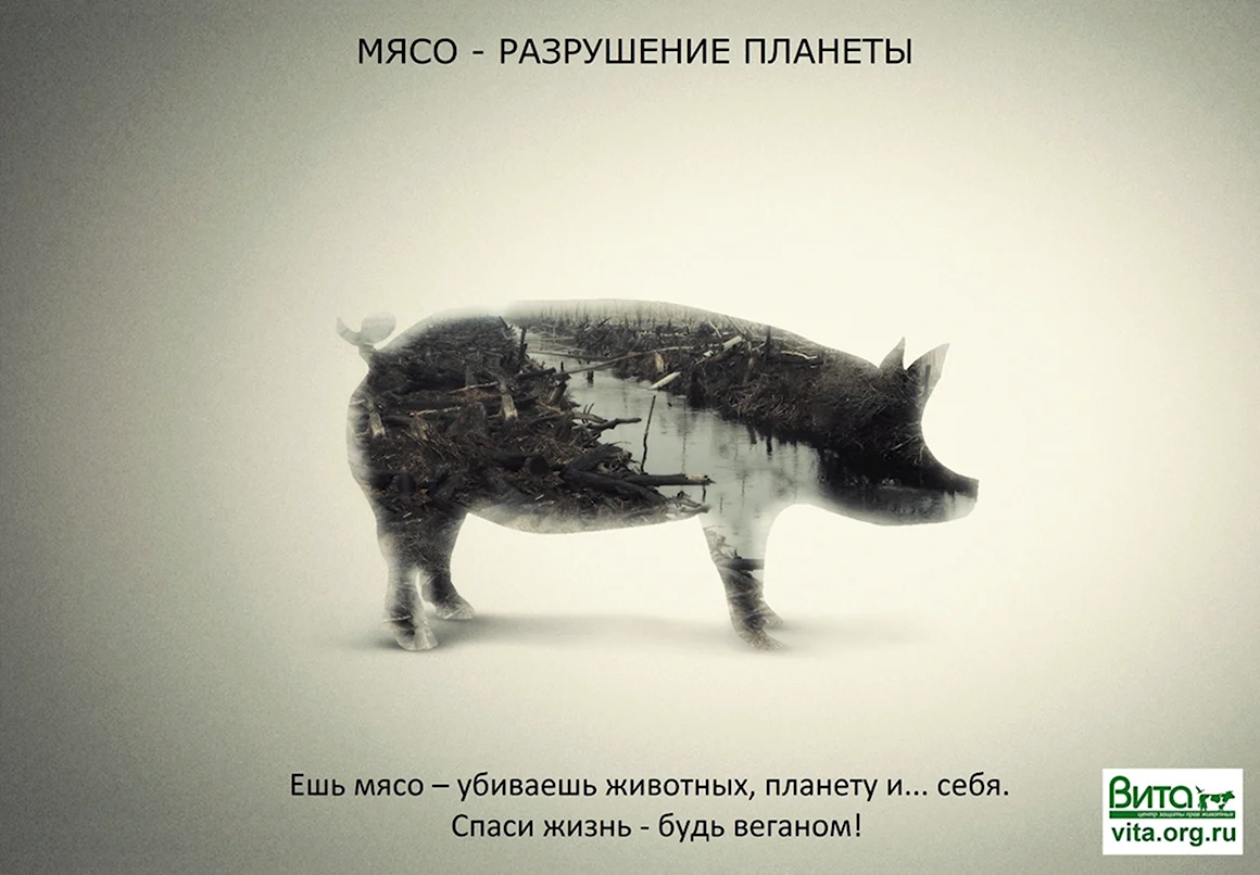 Вегетарианцы убивают животных