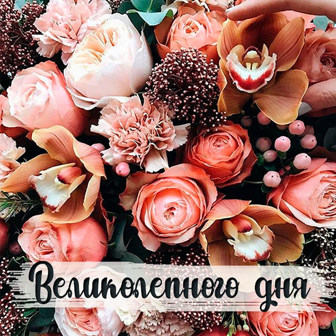Великолепного дня