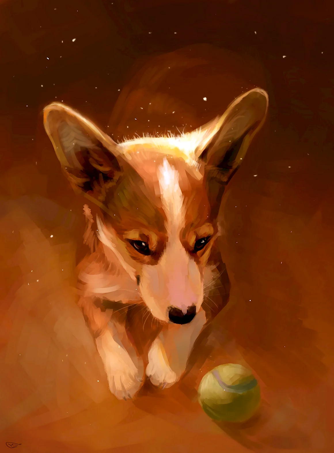 Вельш корги арт