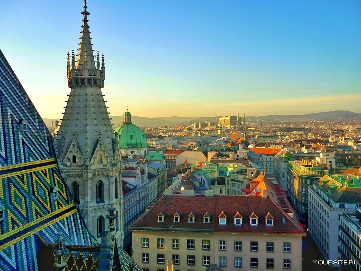 Вена Австрия фото города