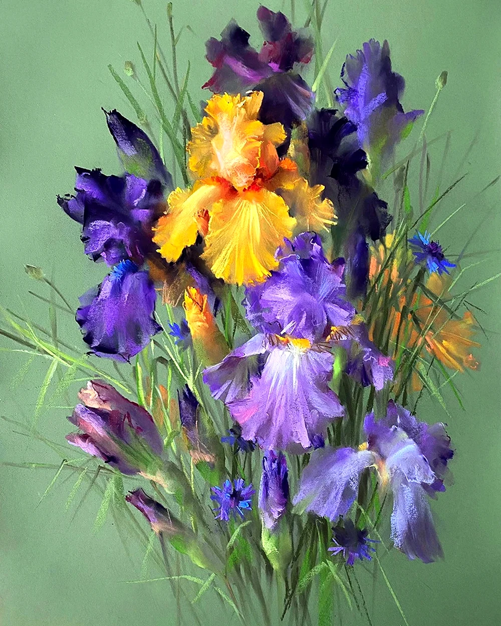Вера Кавура ирисы