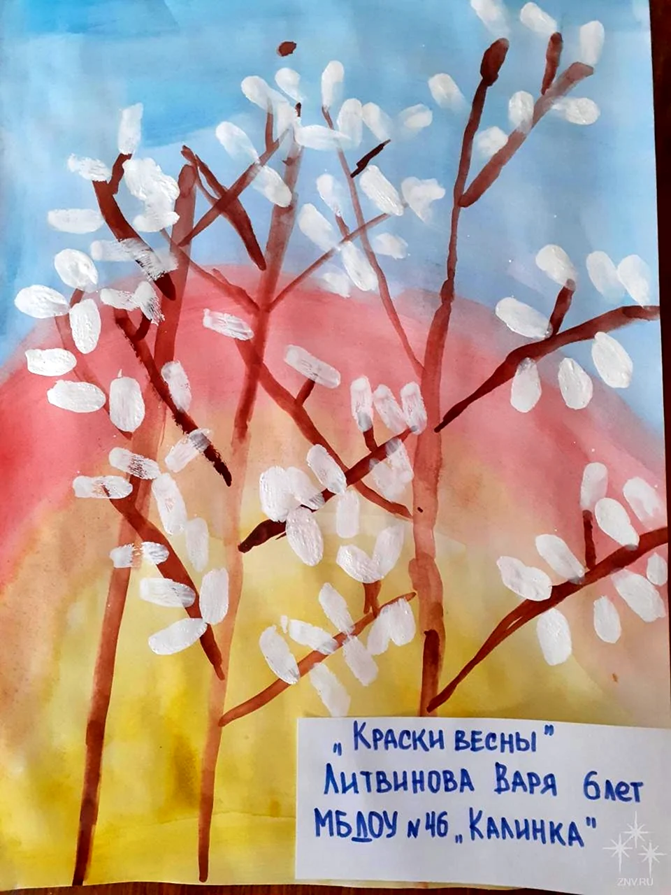 Верба рисунок гуашью