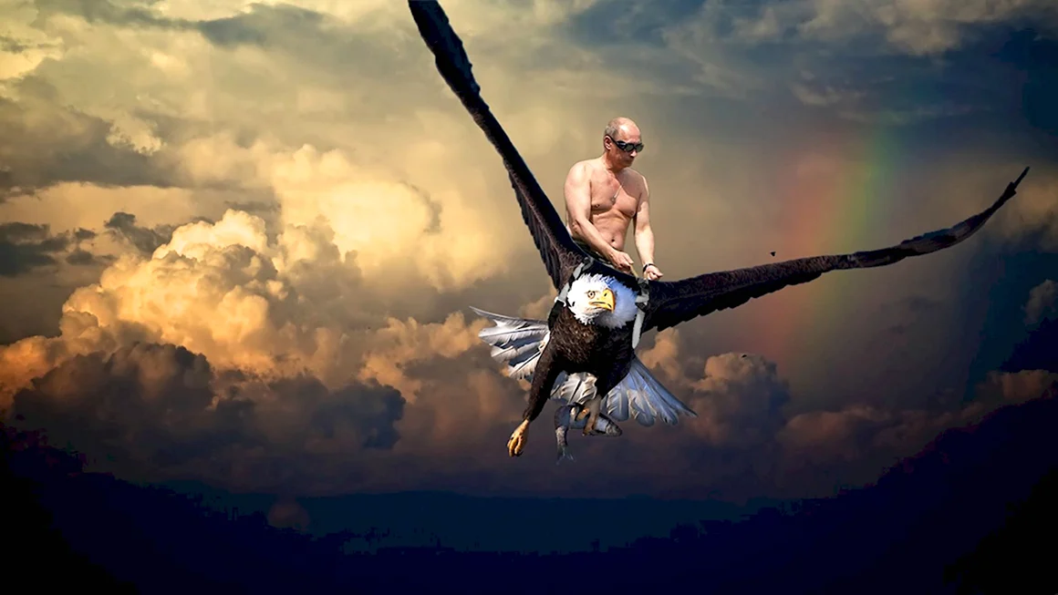 Верхом на птице