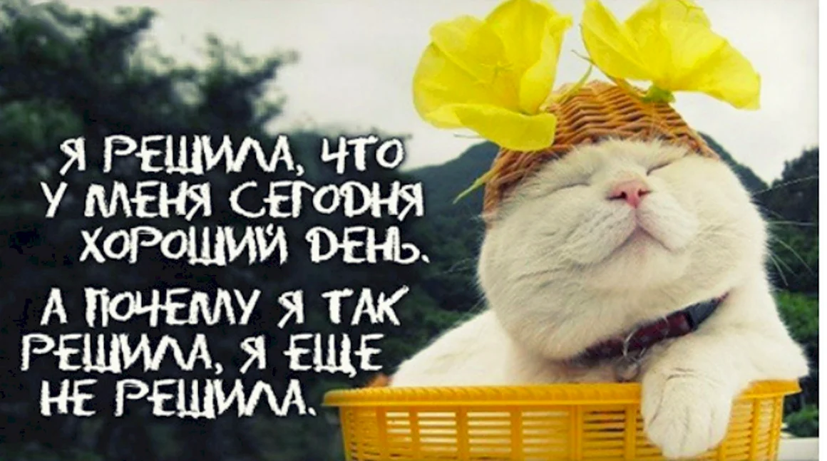 Веселые статусы для настроения