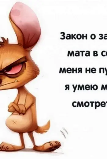 Весёлые статусы в картинках