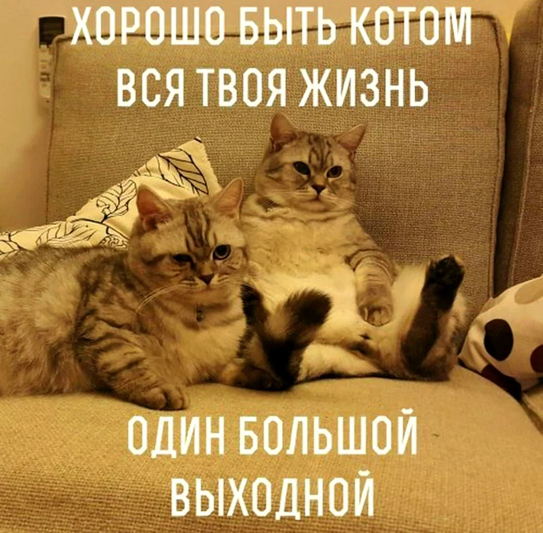 Весёлых выходных картинки