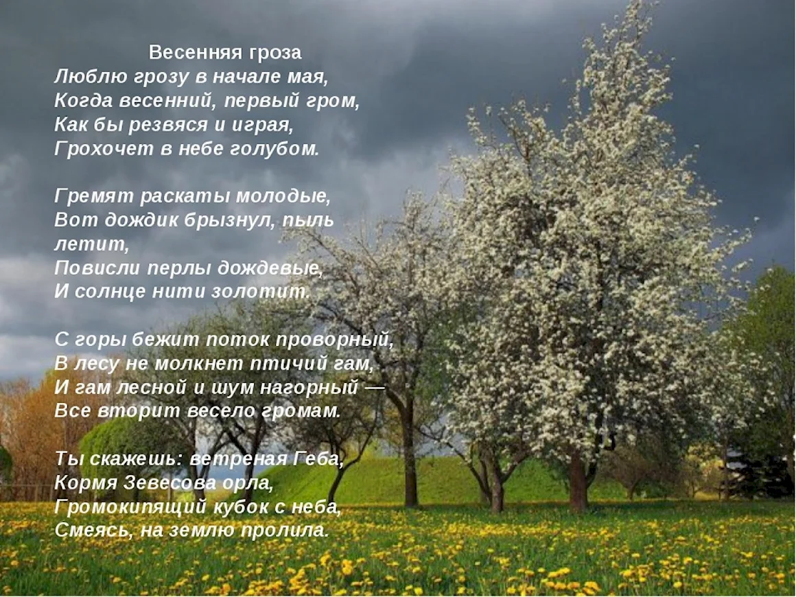 Весенняя гроза стих
