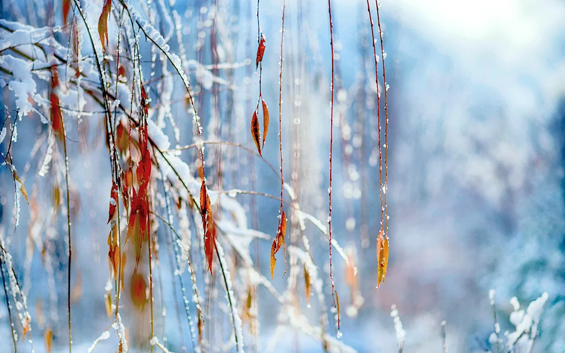 Весенняя капель