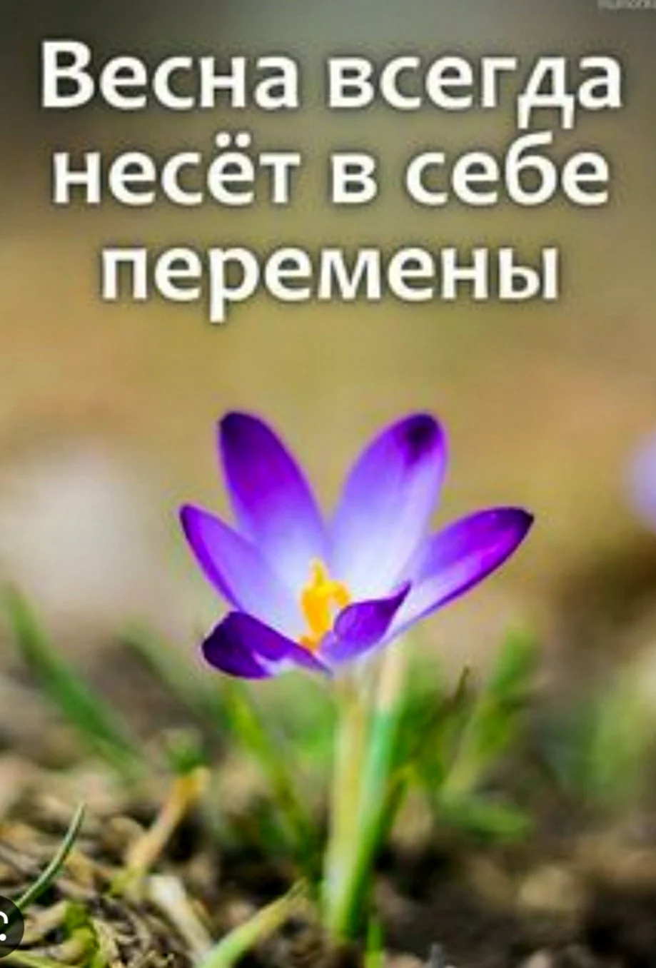 Весенние цитаты