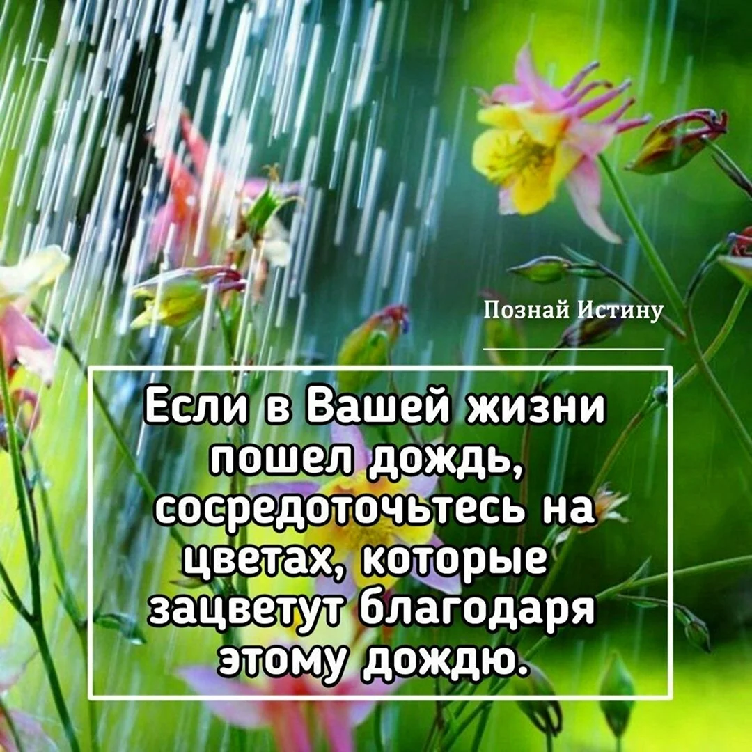 Весенний дождик