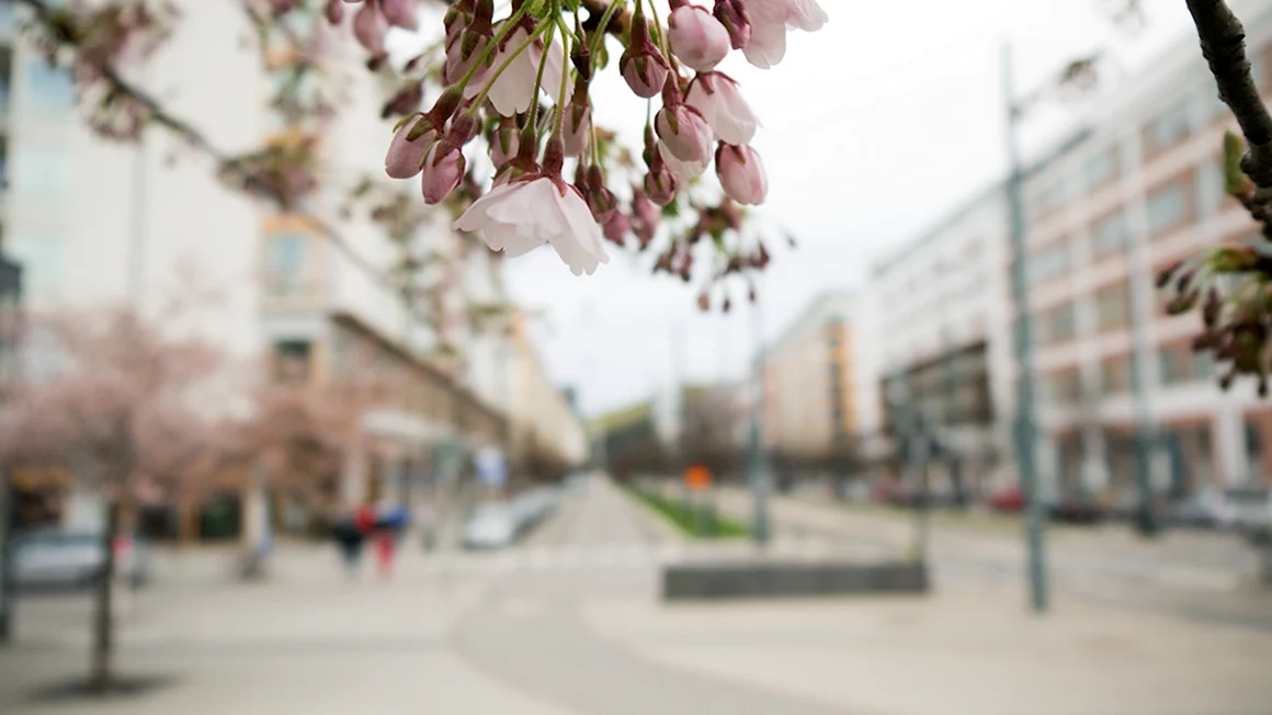 Весенний город