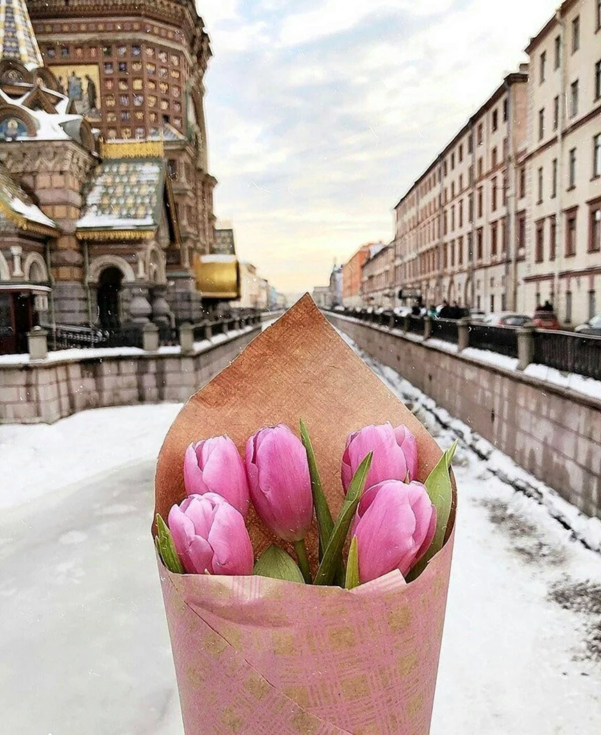 Весенний Питер