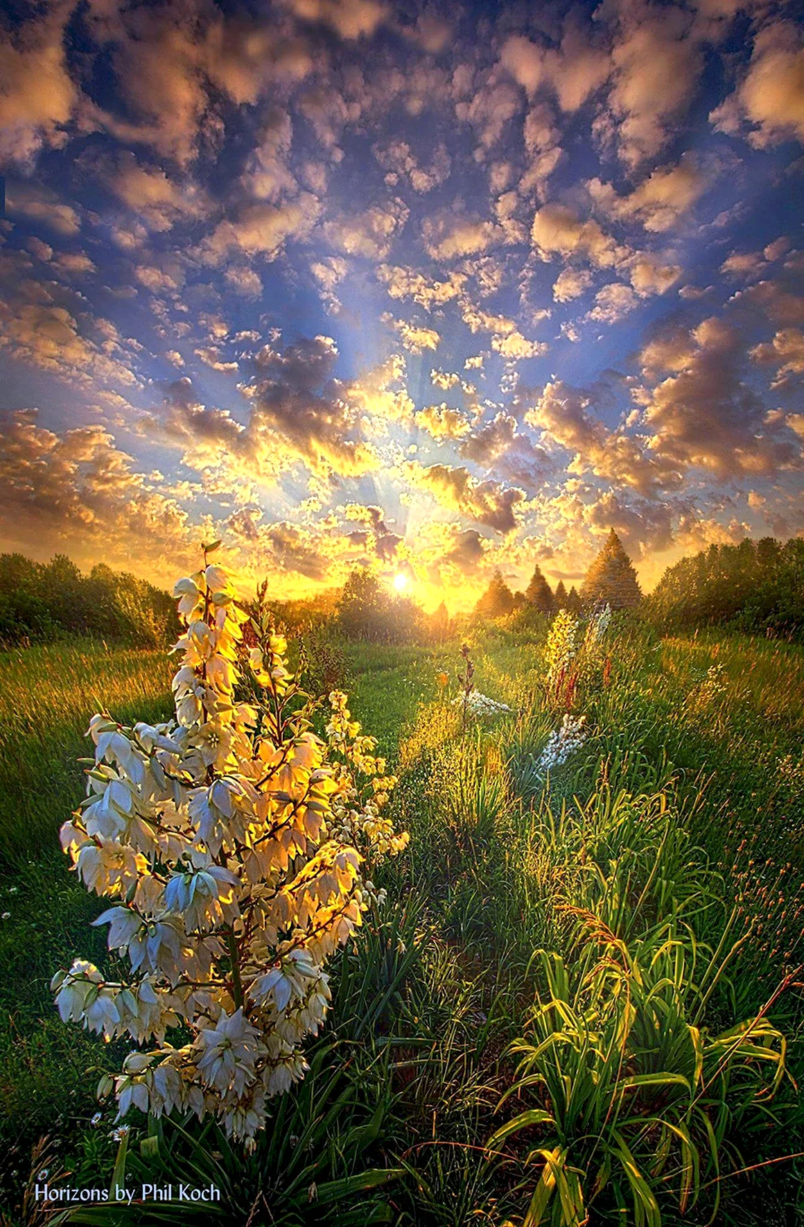 Весенний рассвет