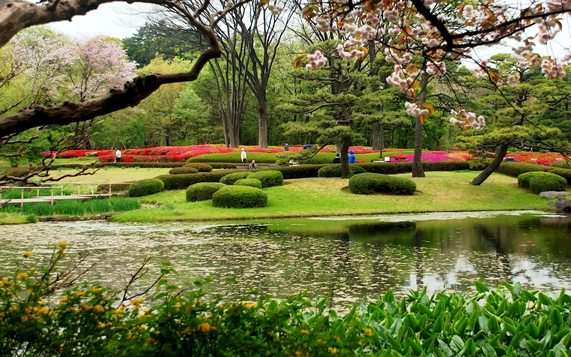 Весенний сад Spring Topiary Garden
