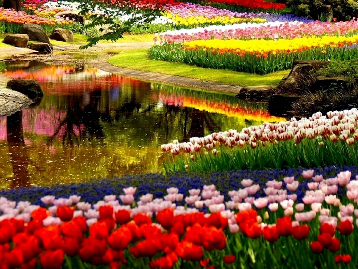 Весенний сад Spring Topiary Garden