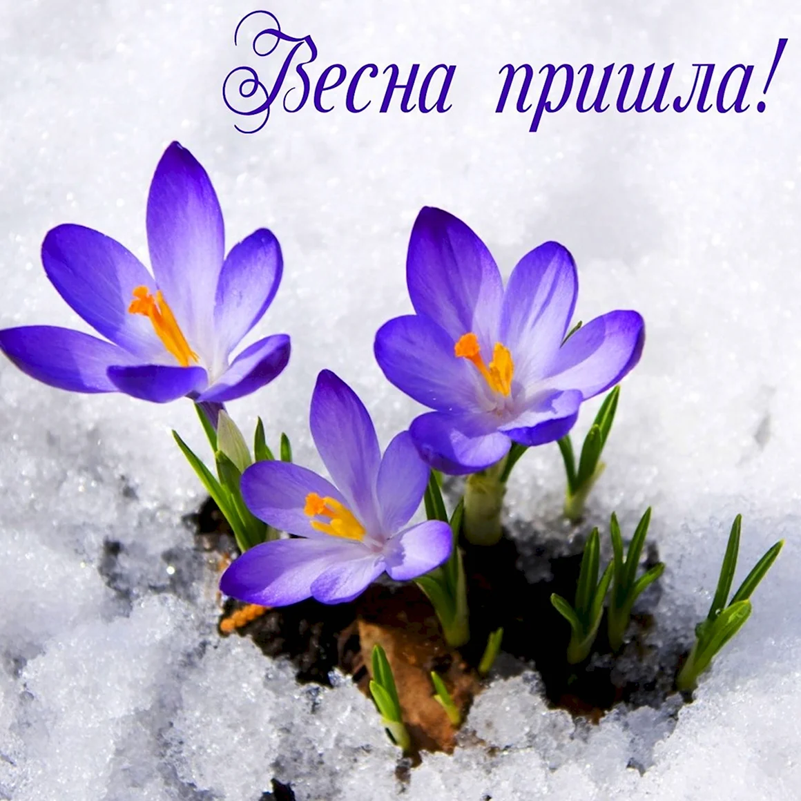 Весна