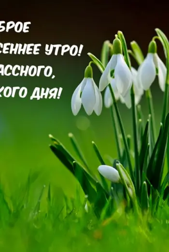 Весна