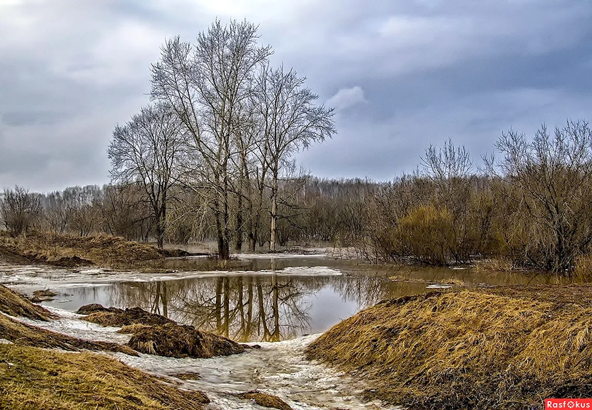 Весна апрель