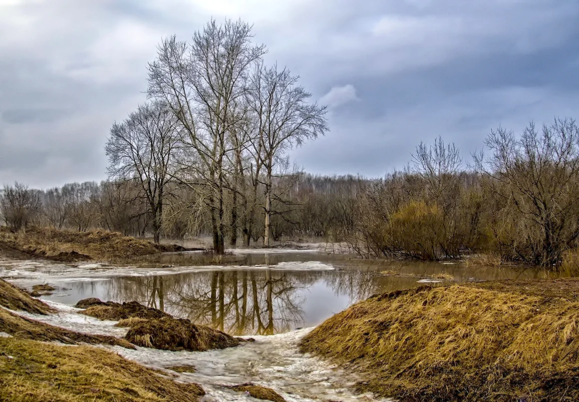 Весна апрель